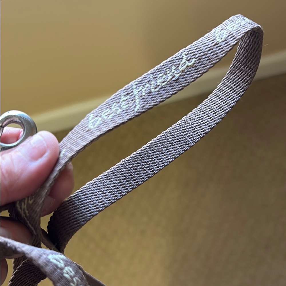 ❤️3/$15❤️ “Best Friend” dog leash - Picture 3 of 3